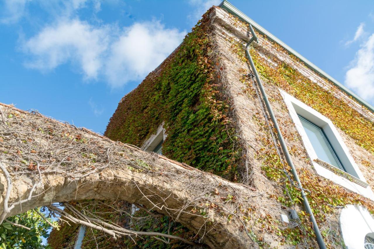 La Belle Vie B&B Santa Maria di Castellabate Exteriér fotografie