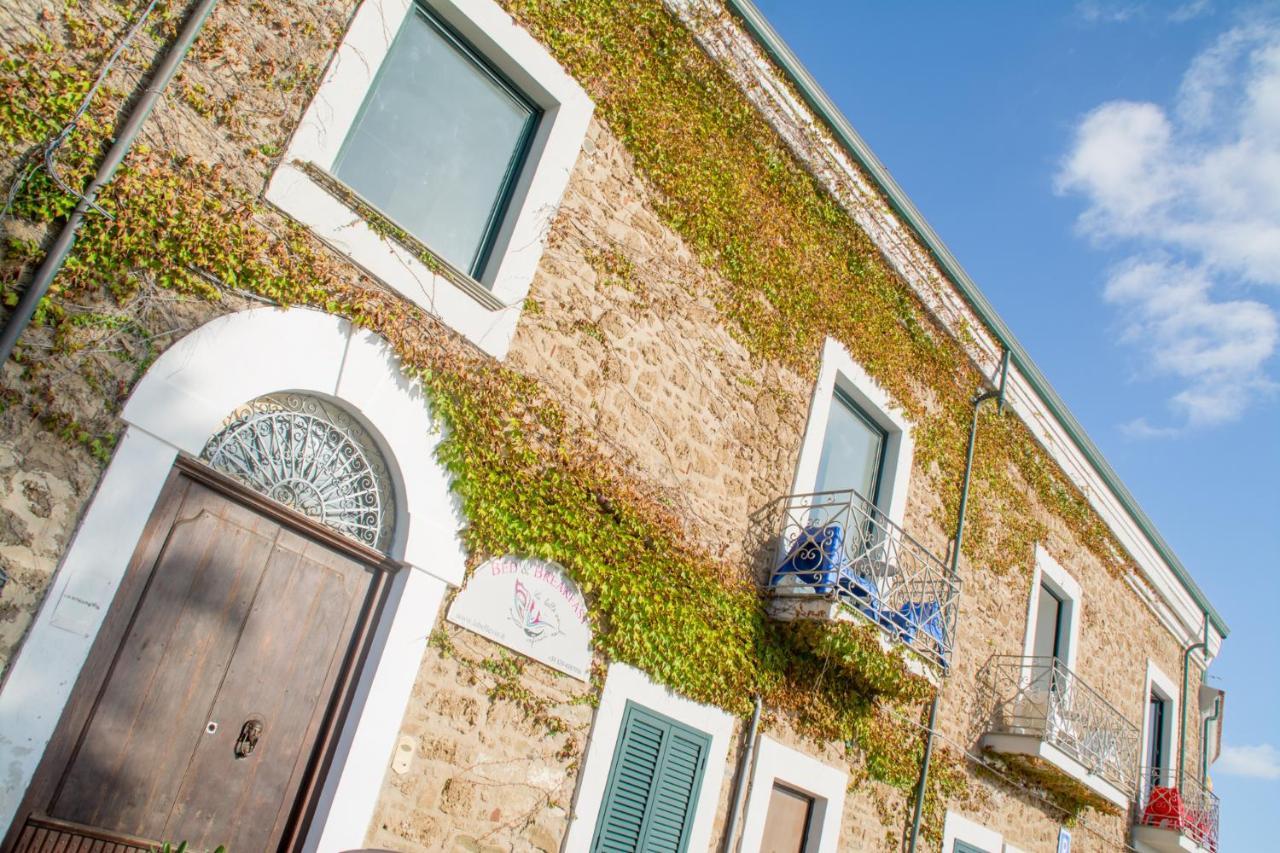 La Belle Vie B&B Santa Maria di Castellabate Exteriér fotografie
